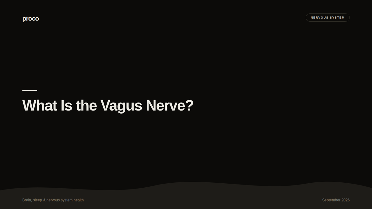 What Is the Vagus Nerve, and Can Supplements Support It? — Proco